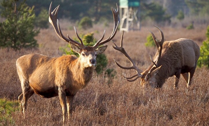Image 2: Berlin Tierpark Ohne Anstehen Tickets und Individualverkehr