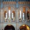 Image 3: Natural History Museum London Guaranteed Free Entry & Audio Tour