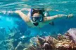 Half Day Fish & Snorkel Key Largo - Second Medium