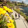 Image 13: Sydney Your Way: Customisable Private Tour