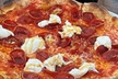 5% Cash Back at Il Bosco Pizza - Second Medium