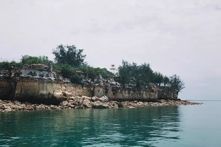 Darwin Combo: The Bombing of Darwin Experience & Darwin Harbour Cruise