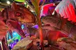 General Admission to Pangaea Land of the Dinosaurs - Second Medium