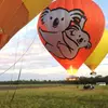 Image 7: Gold Coast Hot Air Ballooning, Bubbles & Go