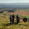 Image 5: Guided hike in Edinburgh's Pentland Hills