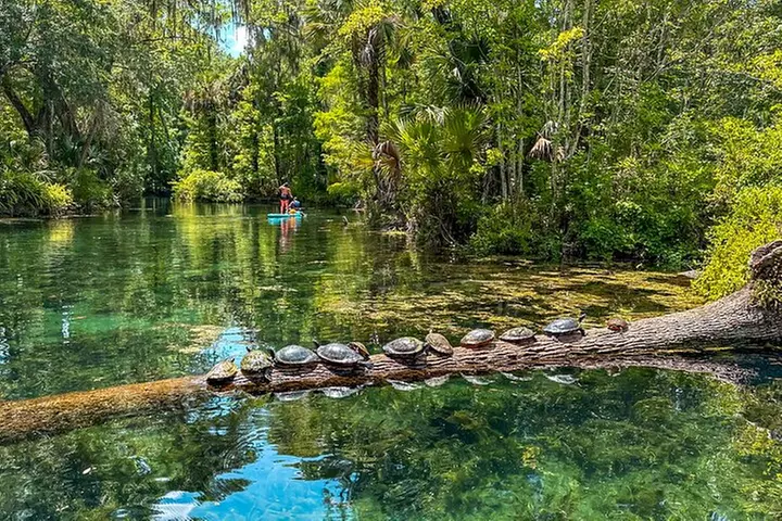 Silver Springs Manatee & Monkeys Paddle Board Tour