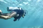 Voted Honolulu's #1 Beginner Scuba Diving + Free Videos Tour
