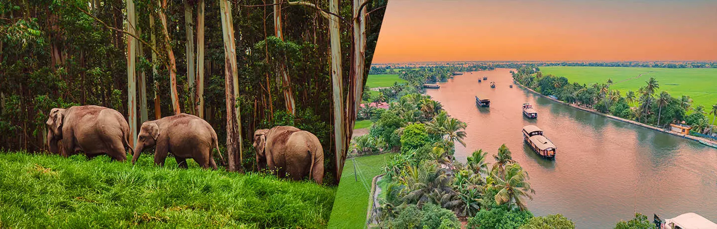 ✈ KERALA | Kochi - Authentisches Kerala 5*, 8 Nächte - Rundreise - Primary Image