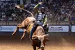 Fort Worth Championship Rodeo and Stockyards Tour - Second Medium