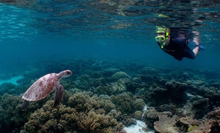 Image 1: 3 Night Ningaloo Reef Snorkel and Dive Getaway from Coral Bay