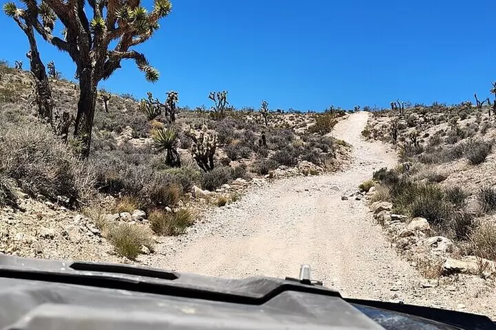 Las Vegas ATV Tours