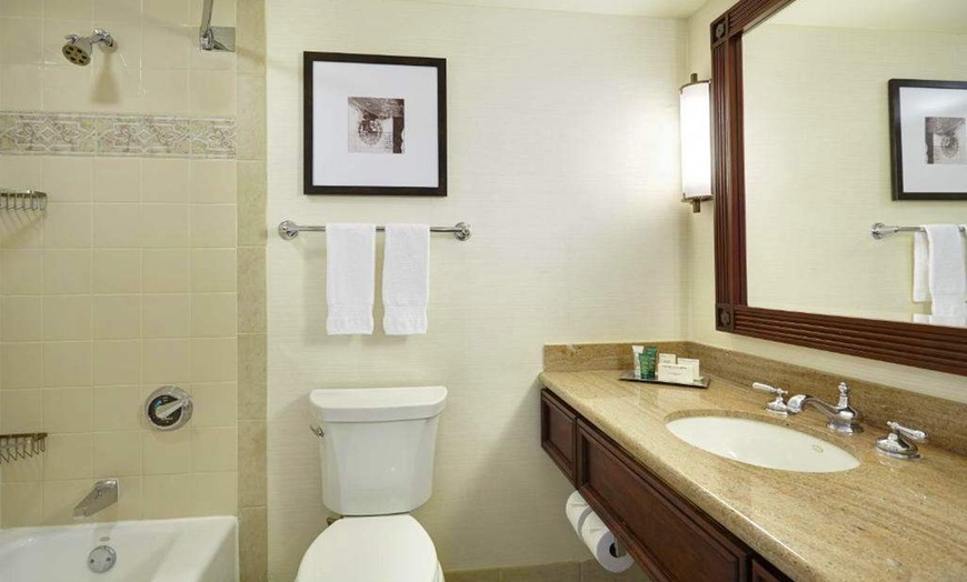 Image 4: ✈ LOUISIANE | Nouvelle Orleans - Hilton New Orleans Riverside 4* - ...
