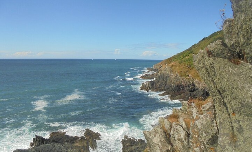 Image 6: Private Boat Tour from Helford River