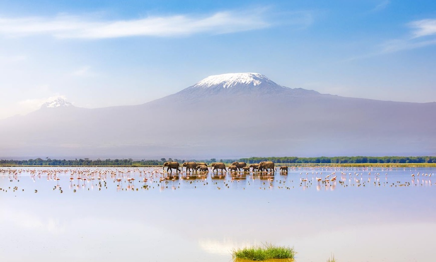 Image 5: ✈ TANZANIE | Du Kilimanjaro à Nairobi - Safaris en Afrique entre la...