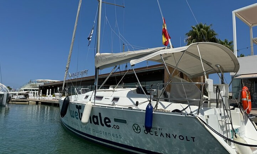 Image 23: Tour en grupo pequeño con delfines al atardecer en velero eléctrico...