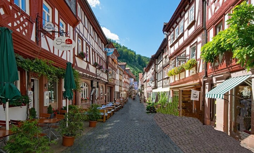 Image 4: Miltenberg - Private Wanderung