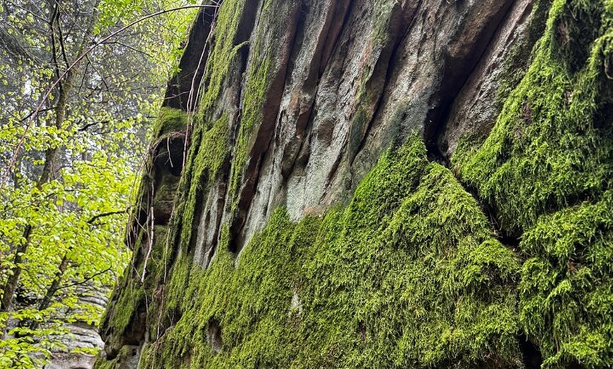 Image 3: Naturerlebnis Grüne Hölle mit köstlichem Überraschungsfinale