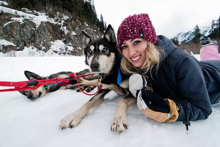 1.5 Hr - Winter Dog Sledding in Knik, Alaska - Second Medium