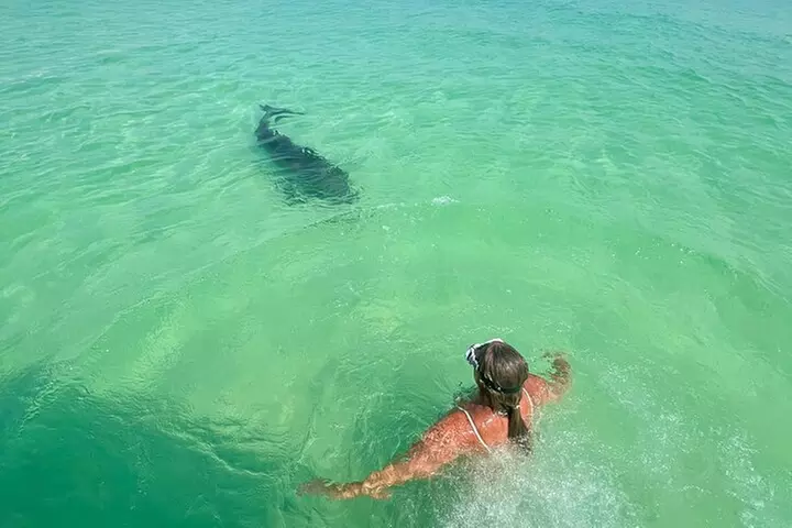 Destin Private Boat Tours Dolphin Crab Island Snorkel Sunset