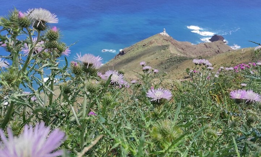 Image 9: Hidden Tenerife - Reserva Anaga a pie