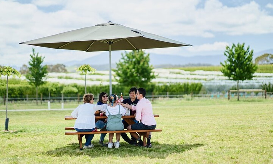 Image 7: Puffing Billy Train&Healesville Sanctuary&Yarra Valley Wine Tour