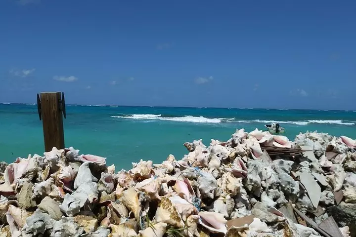 Nassau Shore Excursion: Sightseeing and Snorkeling Tour - Second Medium