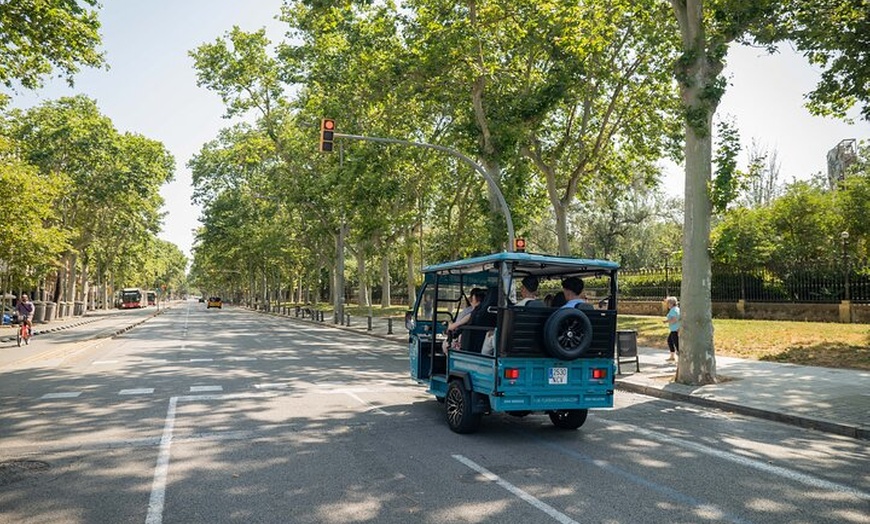 Image 5: Tour panorámico privado por Barcelona