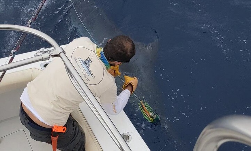Image 17: Macaronesia Charter de Pesca en La Gomera (Islas Canarias)