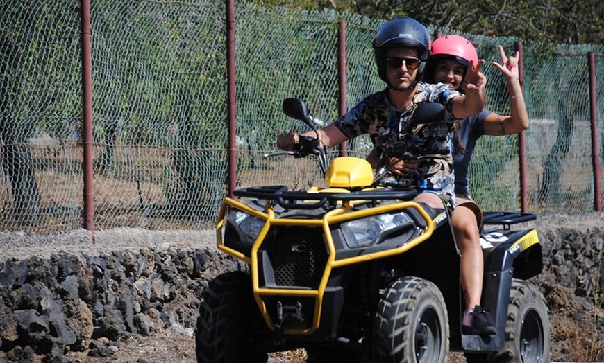 Image 9: Excursión volcánica al Teide Parque Nacional del Teide