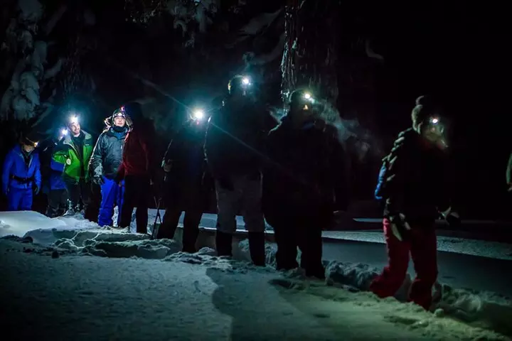 Moonlight and Starlight Snowshoe Tour