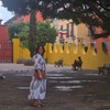 Image 20: Private Tour Guide in San Miguel de Allende