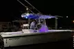 Miami Private Deep Sea Fishing Charter 4 hours - Second Medium