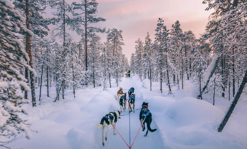 Image 8: ✈ LAPONIE | Rovaniemi - Immersion Polaire à Rovaniemi en famille 3*...