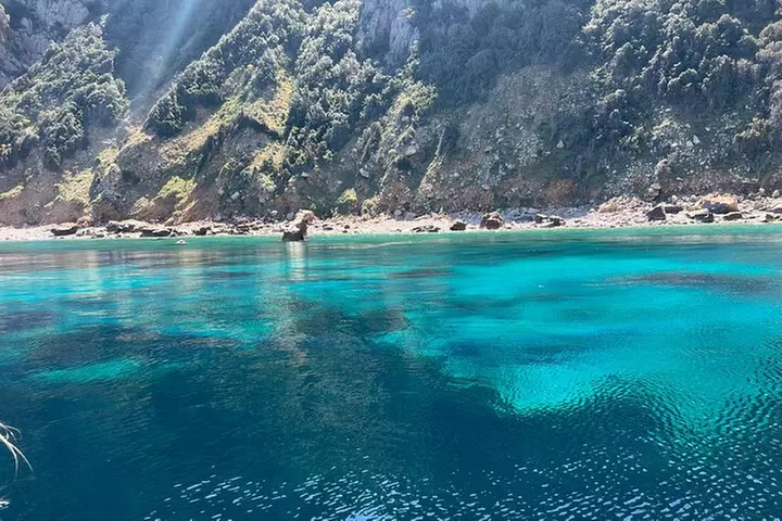 Excursion en Petit Comité dans la Réserve de Scandola