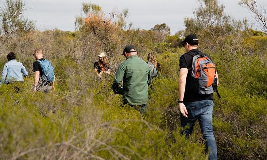 Image 3: Sydney Aboriginal Walking Tour with Welcome Smoking Ceremony