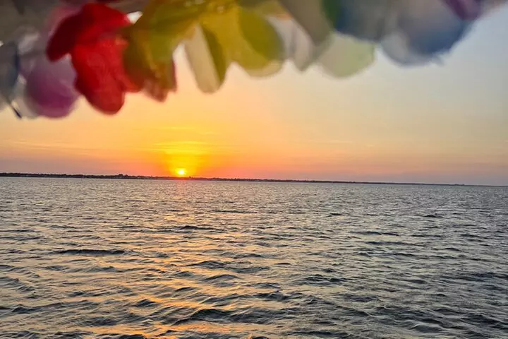 2 hour Dolphin Sightseeing Tour in Melbourne Florida