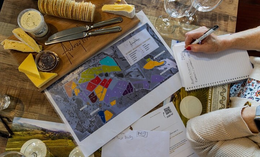 Image 5: Fully Private and Customisable Hunter Valley Wine Tour