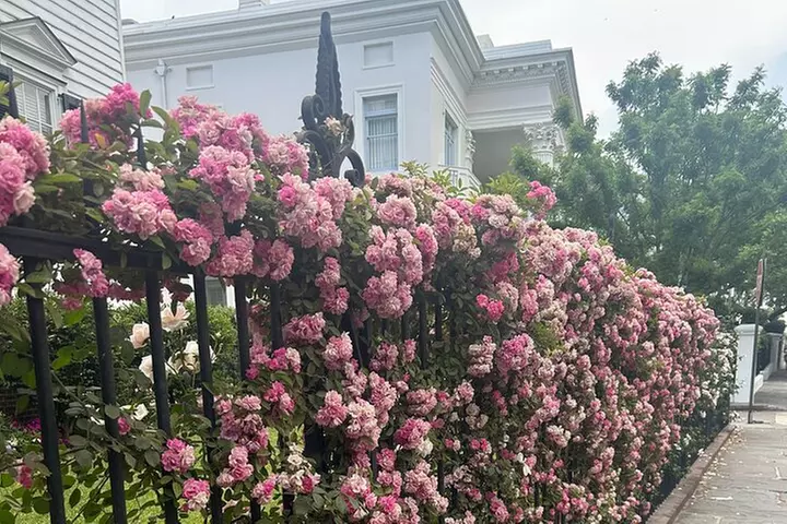 Secret Strolls - Second Medium