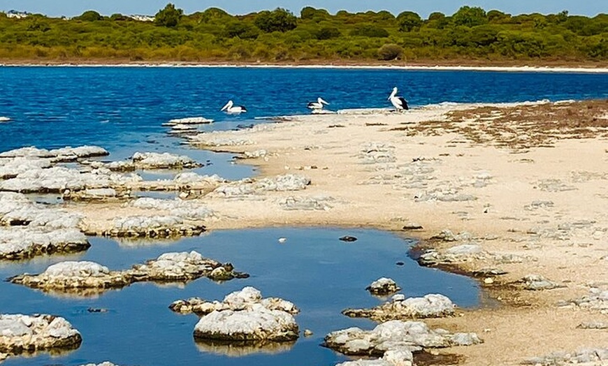 Image 14: Turquoise Coast and Pinnacles Desert, Lunch Included.