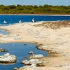 Image 14: Turquoise Coast and Pinnacles Desert, Lunch Included.