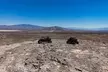 Mojave Desert SXS/RZR Exploration off Las Vegas Blvd. - Second Medium