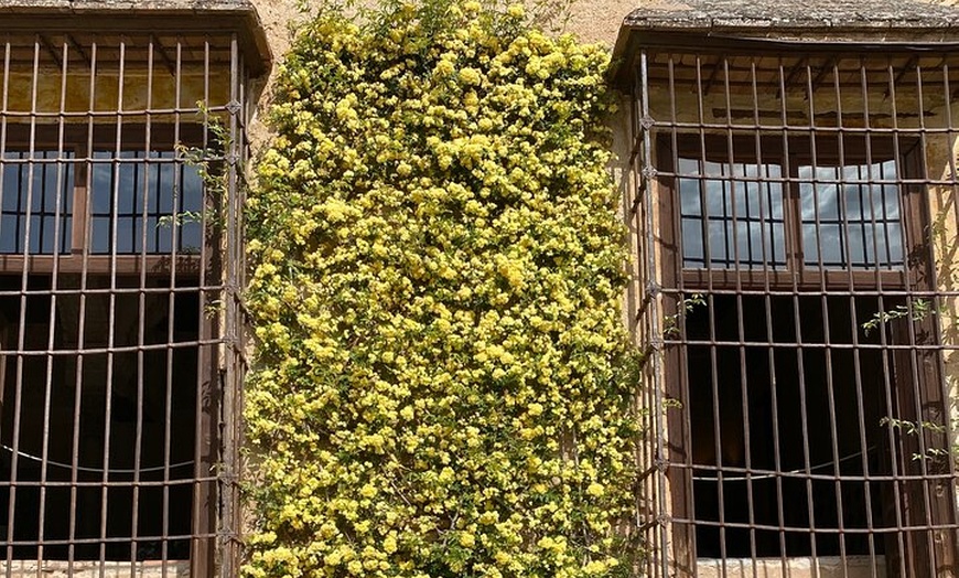 Image 20: Entradas de La Alhambra con Palacios Nazaríes +Tren Turístico