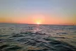 2-Hour Clearwater Beach Private Sunset Charters & Boat Tours - Second Medium