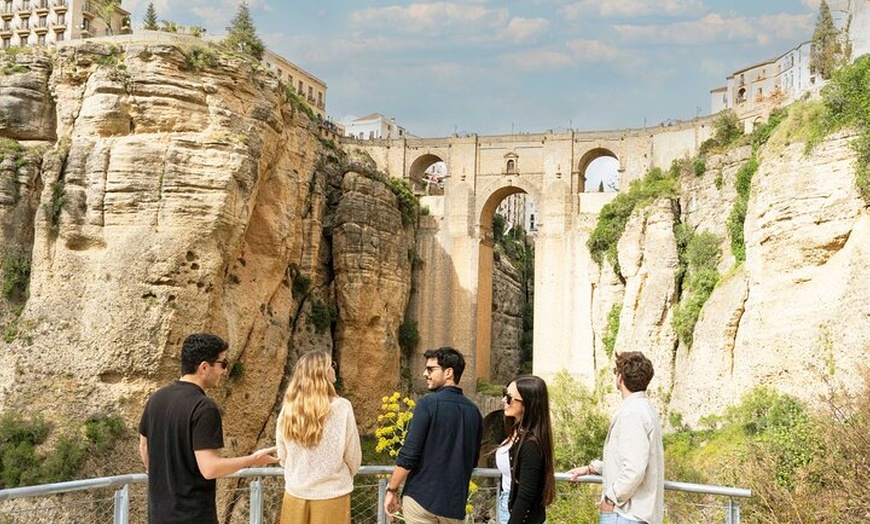 Image 1: Desde Málaga: Ronda, Cata de vinos y aceites de oliva Premium Grupo...