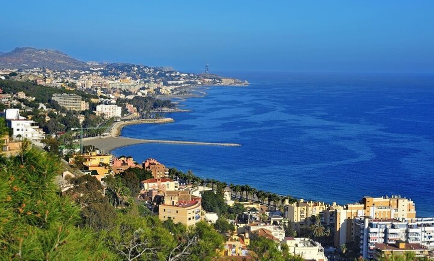 Image 8: Málaga Destacados : Tour Privado & Personalizable