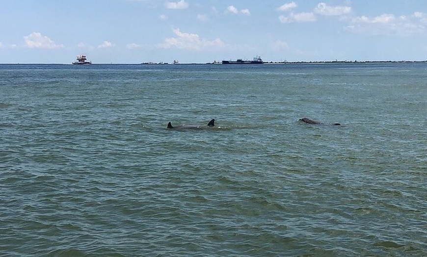 Galveston Water Adventures - Galveston Water Adventures | Groupon