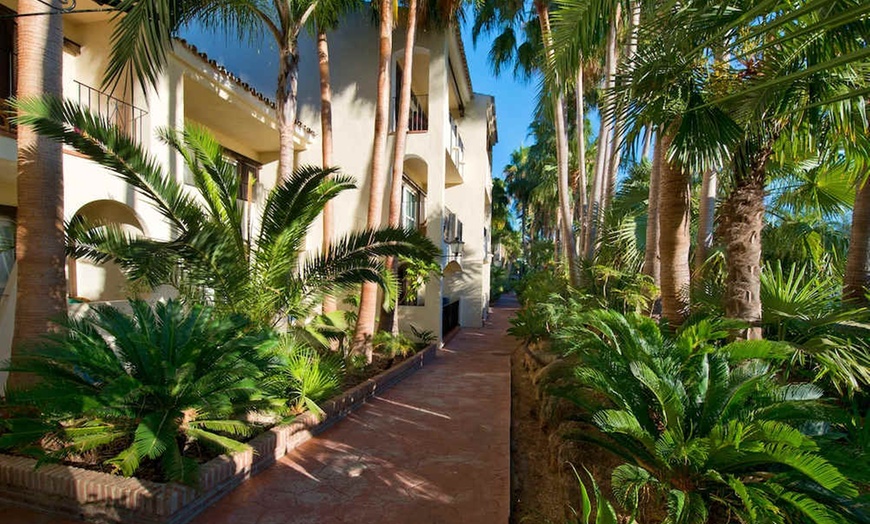 Image 49: ✈ COSTA DEL SOL | Marbella - BlueBay Banús 4*, 3 Nächte - Außenpool