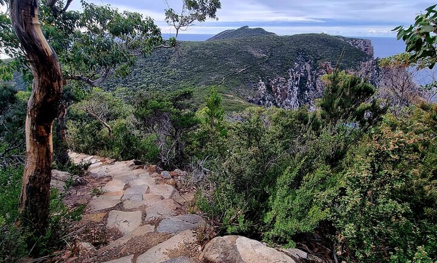 Image 9: Hobart: Cape Hauy Adventure Hike - rugged cliffs & wild beauty