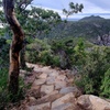 Image 9: Hobart: Cape Hauy Adventure Hike - rugged cliffs & wild beauty