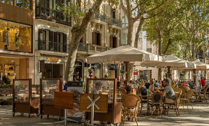 Image 6: Palacios, Jardines y Catedral de Palma